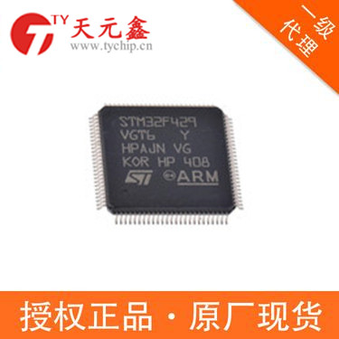 <b>STM32F429VGT6</b>